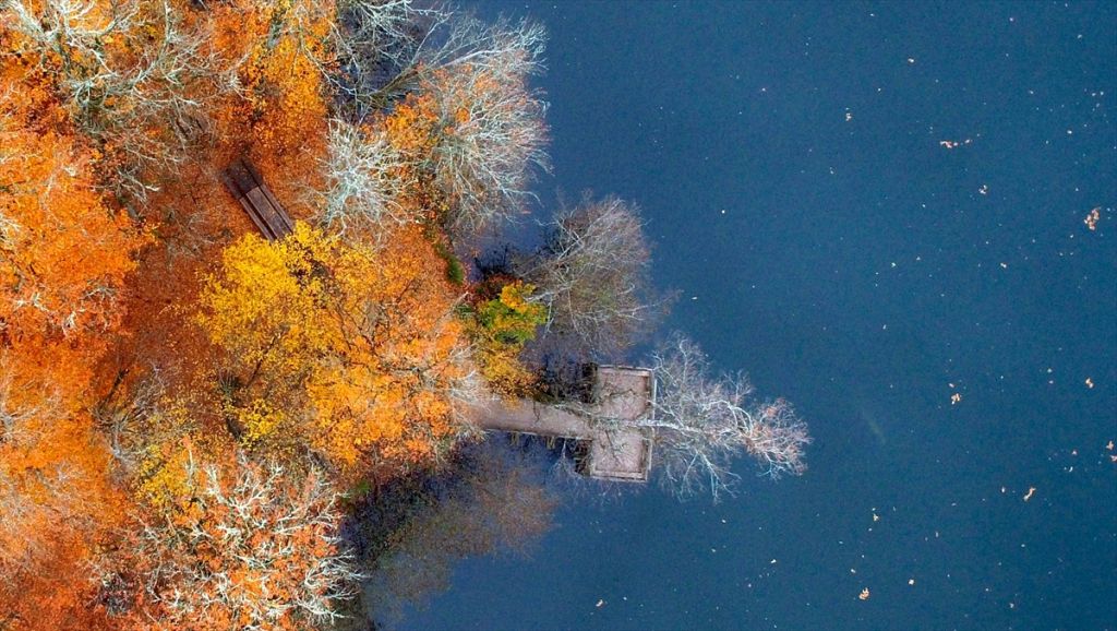 Tabiatın kalbinde sonbahar güzelliği