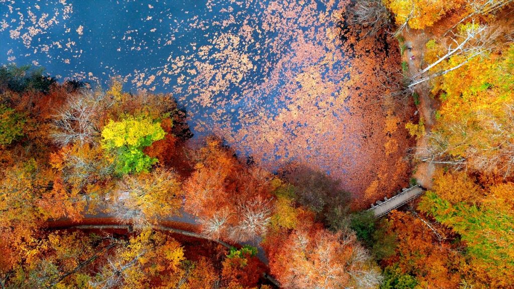 Tabiatın kalbinde sonbahar güzelliği