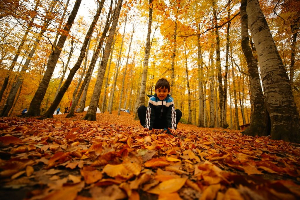 Tabiatın kalbinde sonbahar güzelliği