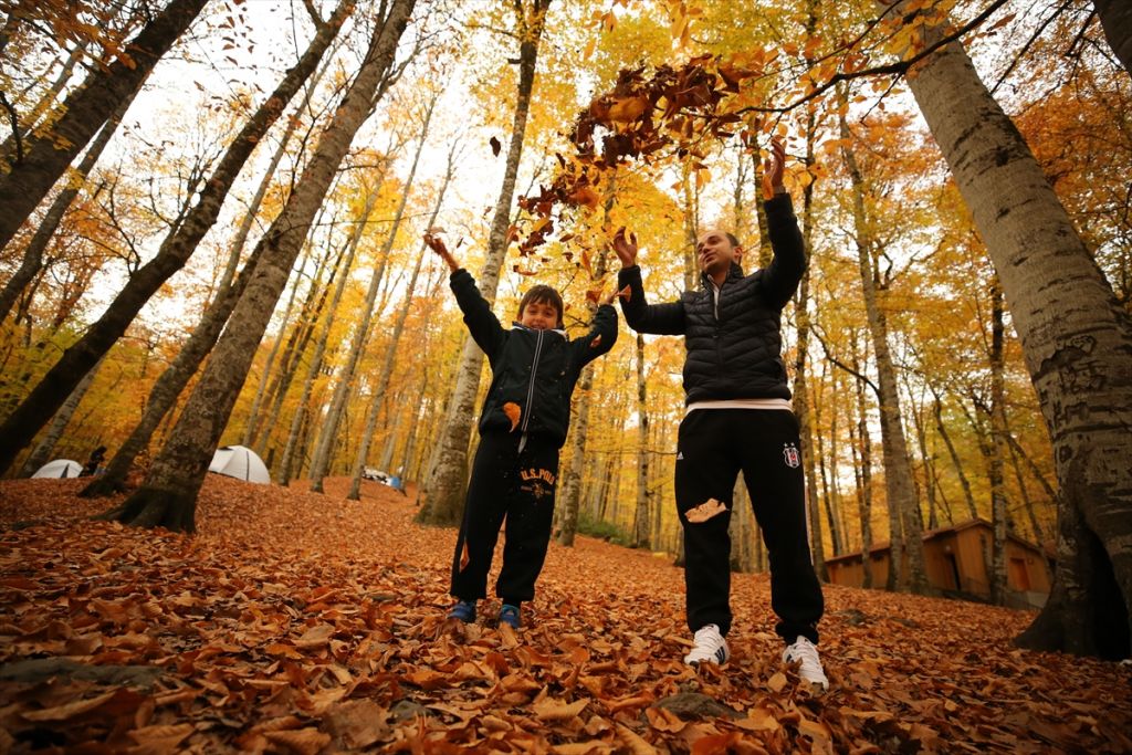 Tabiatın kalbinde sonbahar güzelliği