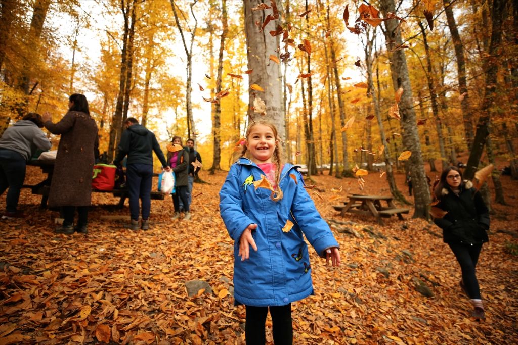 Tabiatın kalbinde sonbahar güzelliği