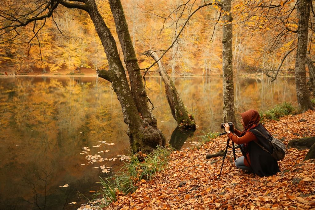 Tabiatın kalbinde sonbahar güzelliği