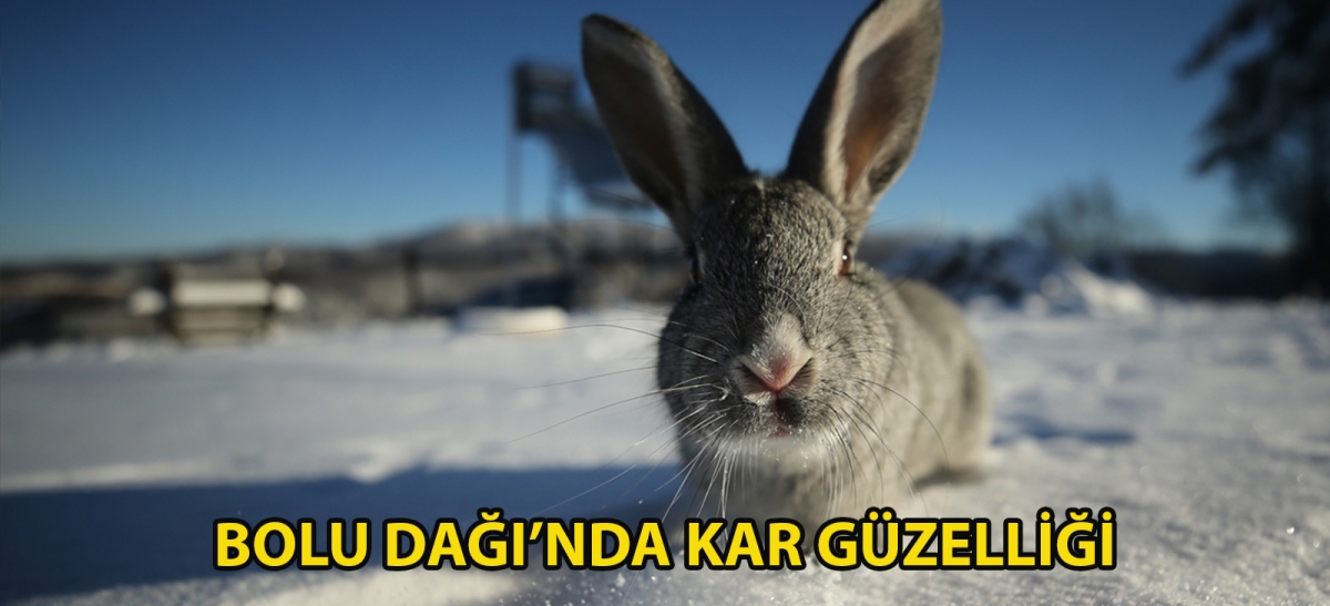 Bolu Dağı'nda kar güzelliği