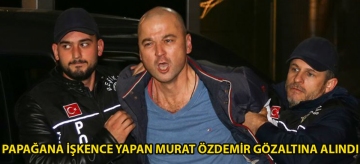 Papağana işkence yapan Murat Özdemir gözaltına alındı