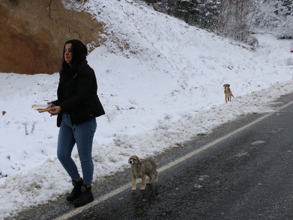 Abant ve Gölcük'te kar bereketi