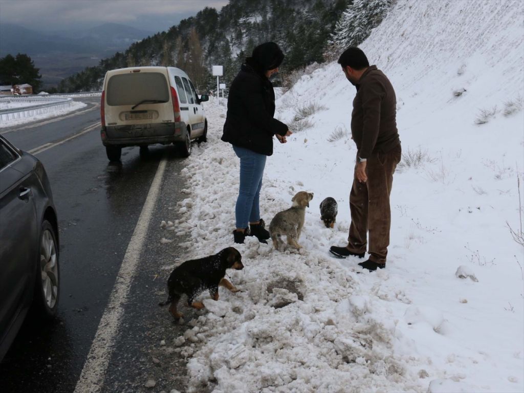 Abant ve Gölcük'te kar bereketi