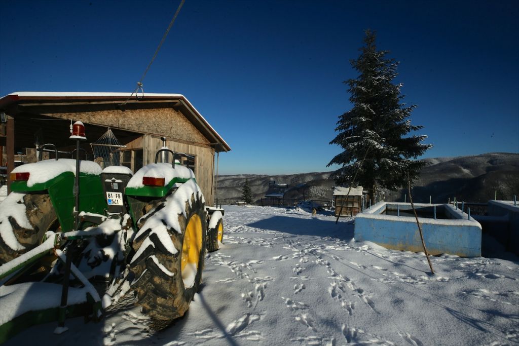 Bolu Dağı'nda kar güzelliği