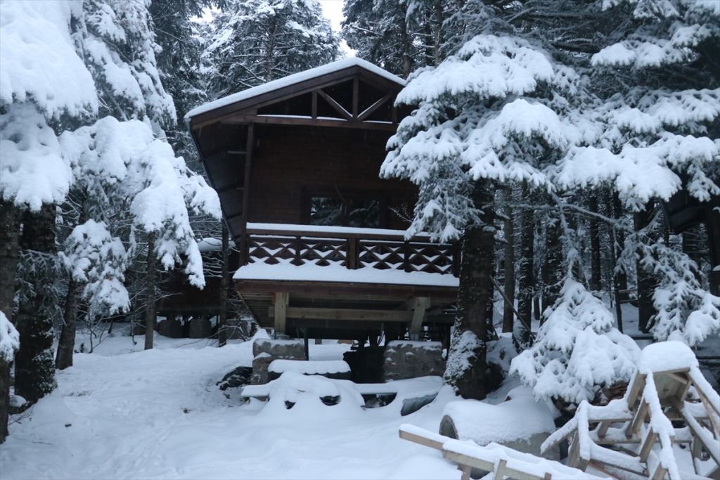 Gölcük Tabiat Parkı'ndaki kır evlerinin yapımı Bolu İdare Mahkemesi tarafından durduruldu