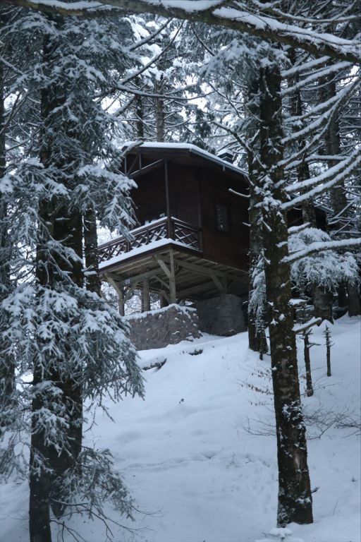 Gölcük Tabiat Parkı'ndaki kır evlerinin yapımı Bolu İdare Mahkemesi tarafından durduruldu