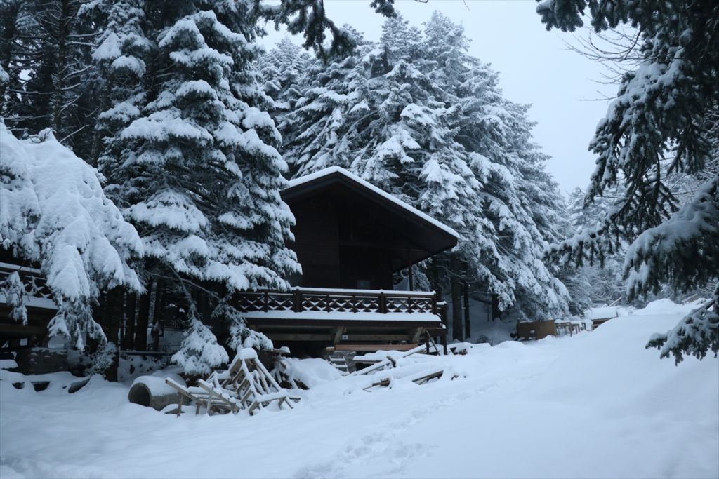 Gölcük Tabiat Parkı'ndaki kır evlerinin yapımı Bolu İdare Mahkemesi tarafından durduruldu