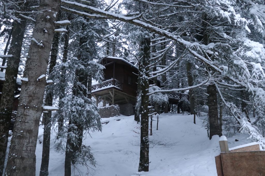 Gölcük Tabiat Parkı'ndaki kır evlerinin yapımı Bolu İdare Mahkemesi tarafından durduruldu