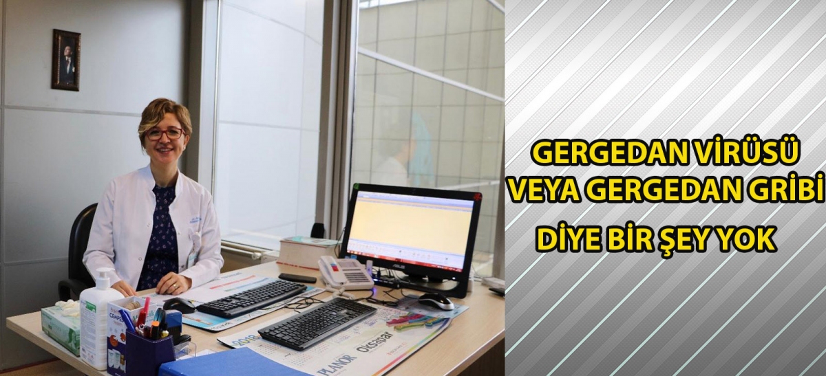 Gergedan virüsü veya gergedan gribi diye bir şey yok