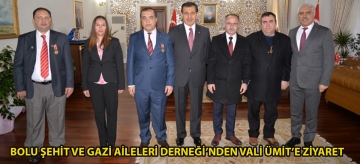 BOLU ŞEHİT VE GAZİ AİLELERİ DERNEĞİ'NDEN VALİ ÜMİT'E ZİYARET
