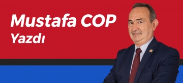 Hoş geldiniz fileciler…