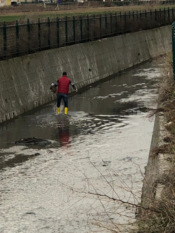 Bolu Veteriner İşleri Müdürlüğü Ekipleri dereye düşen iki yavru köpeği kurtardı