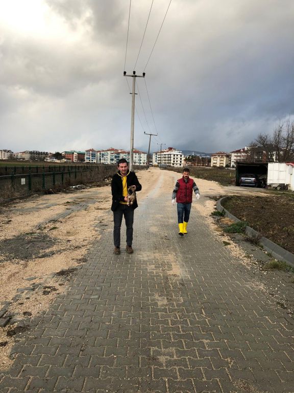 Bolu Veteriner İşleri Müdürlüğü Ekipleri dereye düşen iki yavru köpeği kurtardı