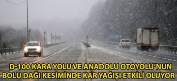 D-100 kara yolu ve Anadolu Otoyolu'nun Bolu Dağı kesiminde kar yağışı etkili oluyor