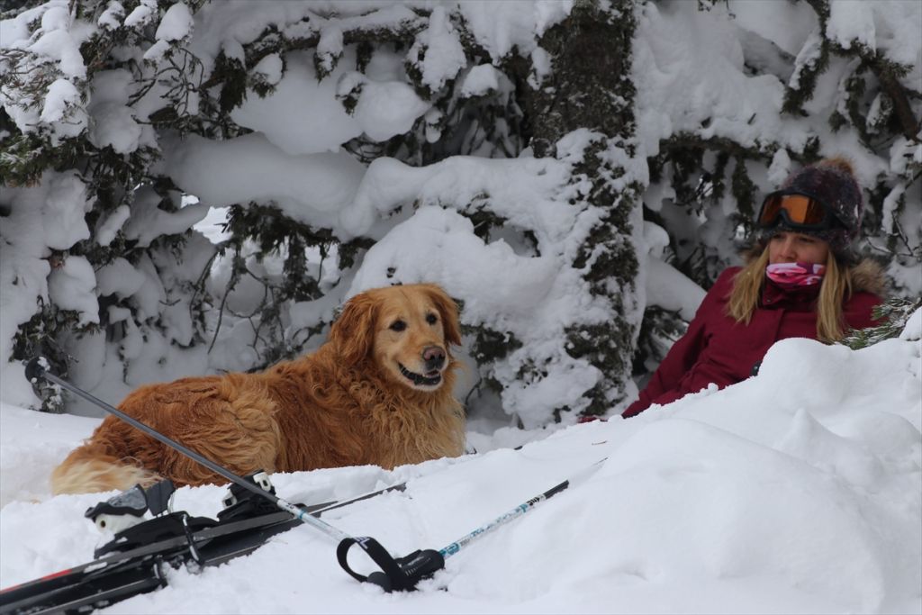 JÖAK ve JAK timlerinden gerçeği aratmayan tatbikat
