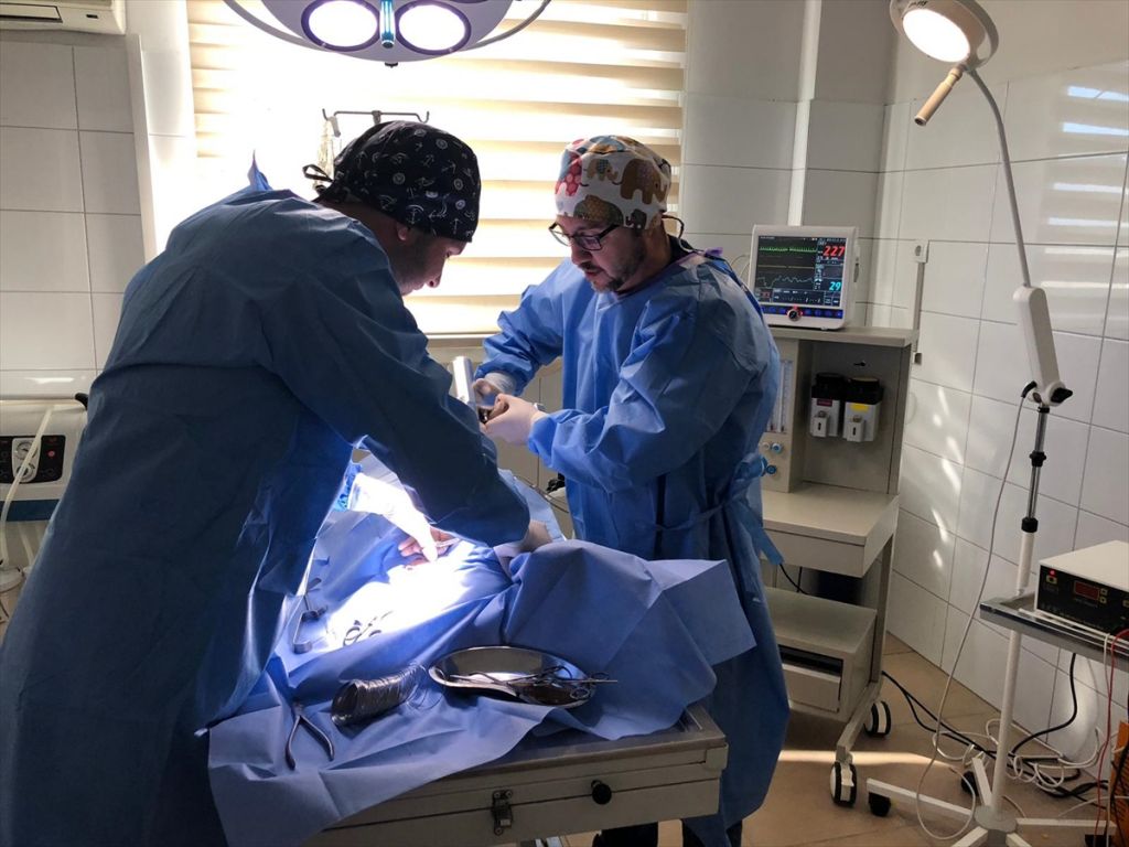 Yaralı "Boncuk" tedavi altına alındı