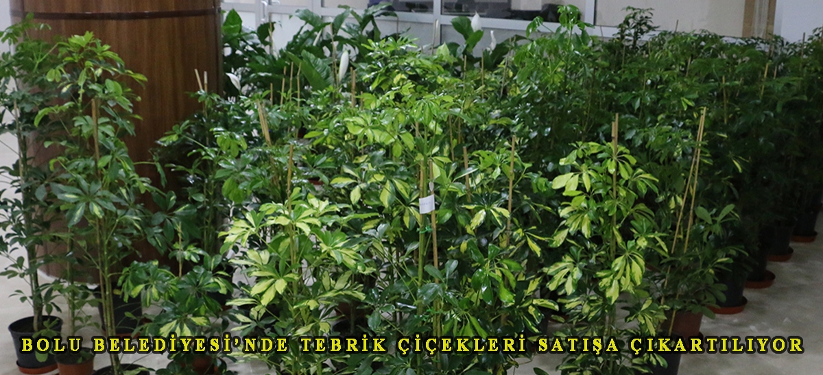 Bolu Belediyesi'nde ‘tebrik çiçekleri' satışa çıkartılıyor