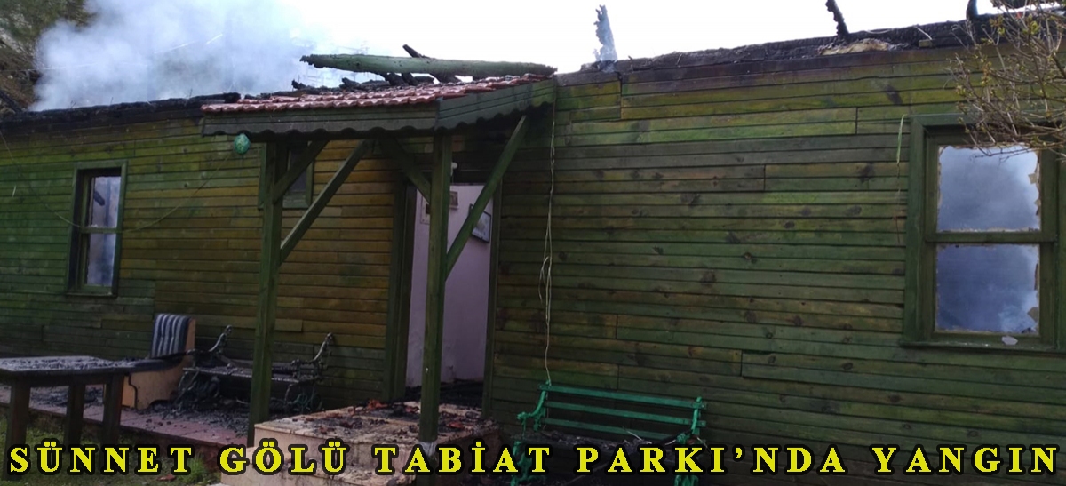 Sünnet Gölü Tabiat Parkı'nda yangın