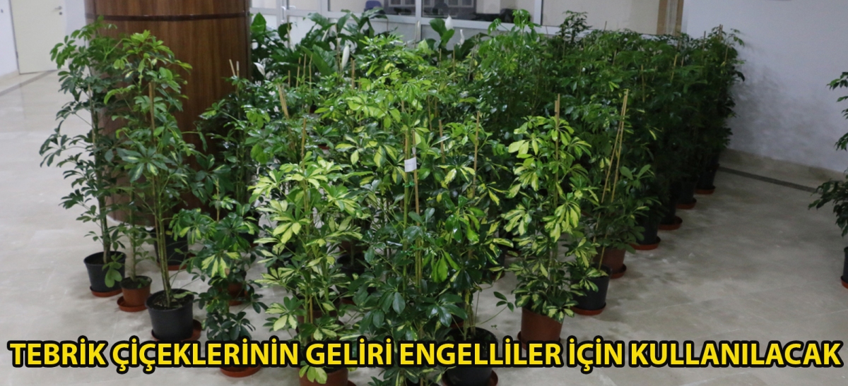 Tebrik çiçeklerinin geliri engelliler için kullanılacak