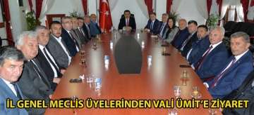 İl Genel Meclis Üyelerinden Vali Ümit'e Ziyaret