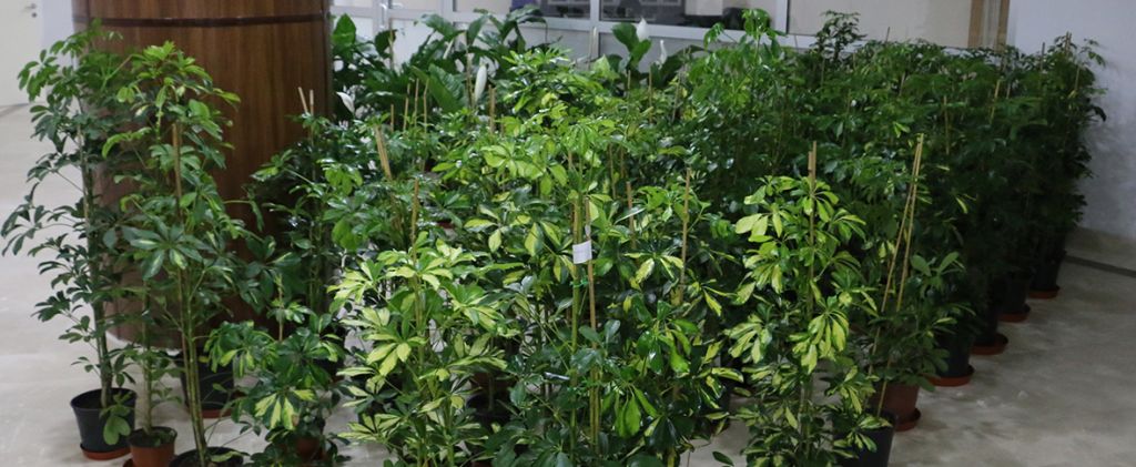 Bolu Belediyesi'nde ‘tebrik çiçekleri' satışa çıkartılıyor