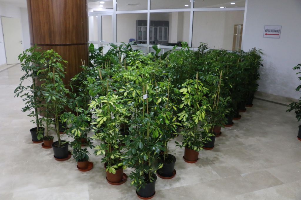 Bolu Belediyesi'nde ‘tebrik çiçekleri' satışa çıkartılıyor