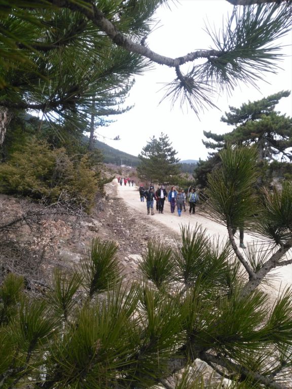 Bolu'da doğa yürüyüşü yapıldı