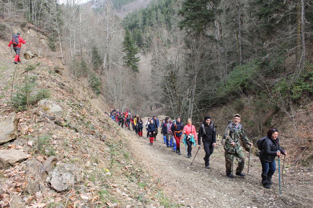 Doğa yürüyüşlerine büyük ilgi! Yüze yakın kişi Karadere'nin doğal güzelliklerini keşfetti