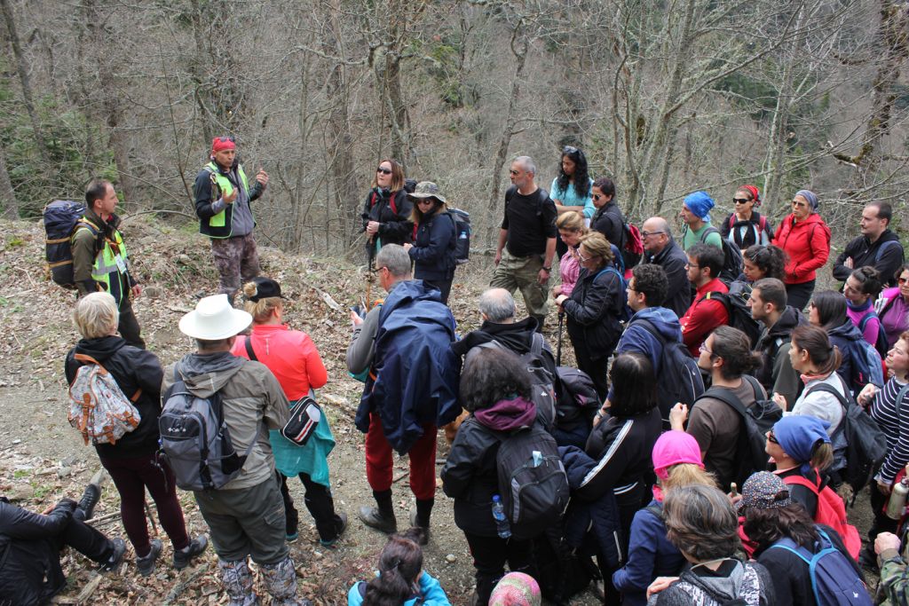 Doğa yürüyüşlerine büyük ilgi! Yüze yakın kişi Karadere'nin doğal güzelliklerini keşfetti