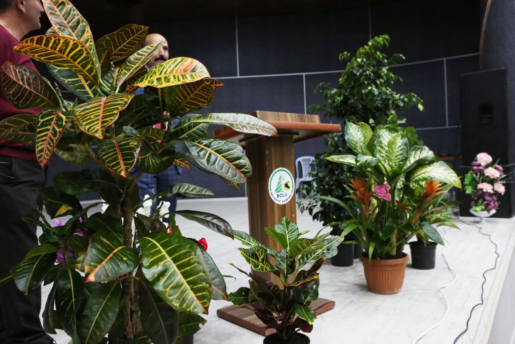 Tebrik çiçeklerinden ilk günde 140 bin lira gelir elde edildi