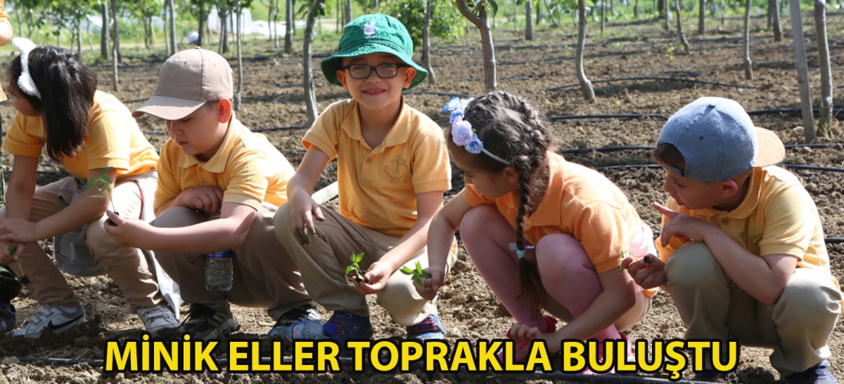 Minik eller toprakla buluştu