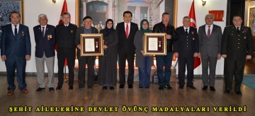Şehit Ailelerine Devlet Övünç Madalyaları Verildi