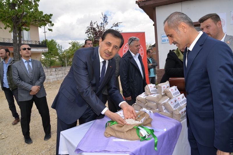 Kadın Çiftçilere Civril Fasulye Tohumu Dağıtıldı