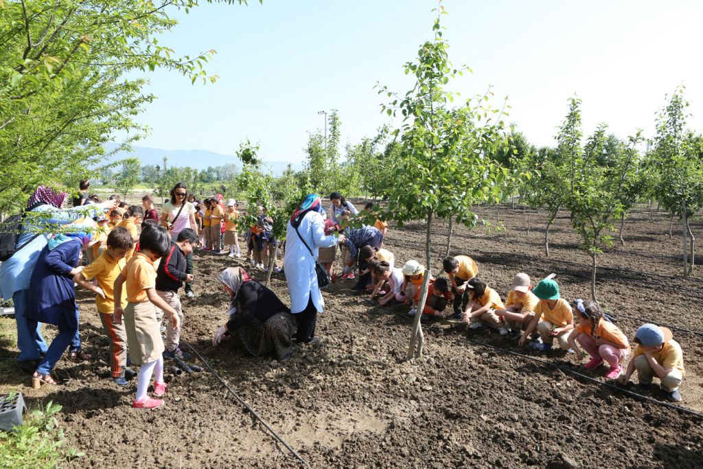 Minik eller toprakla buluştu