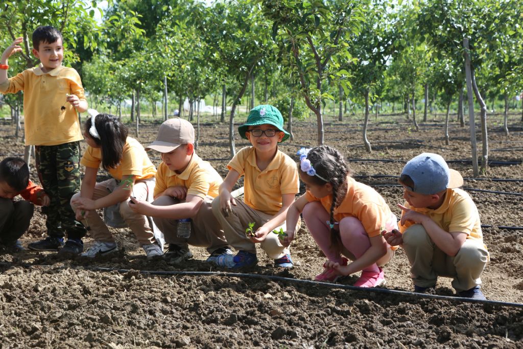 Minik eller toprakla buluştu