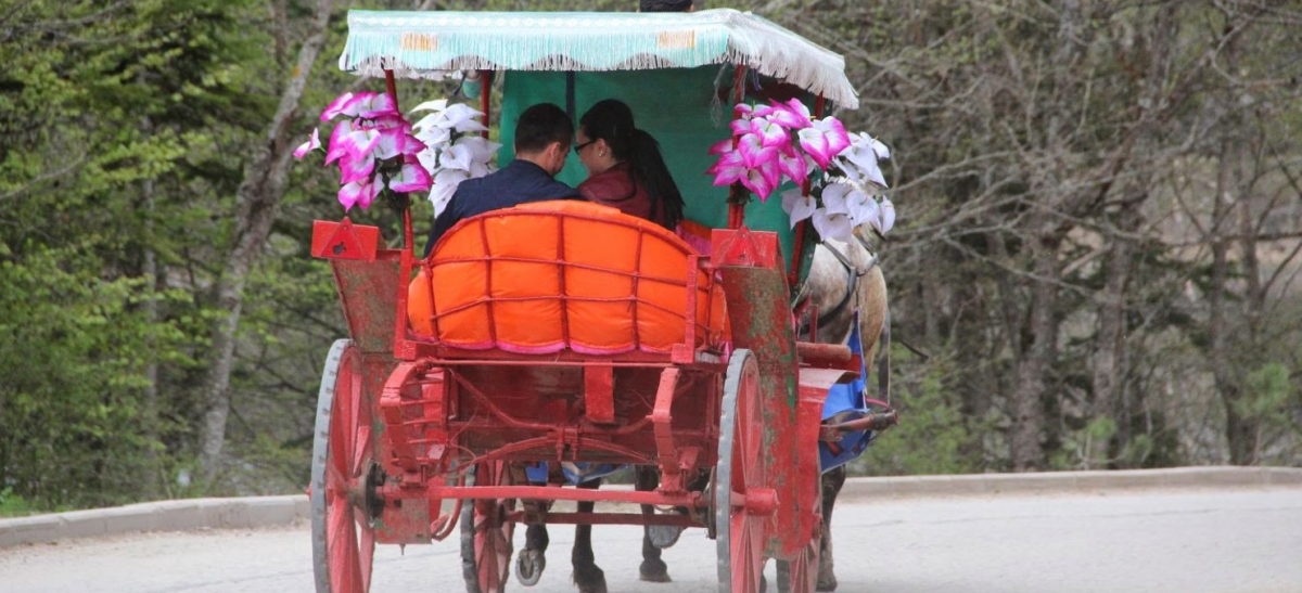 BOLHAYKO'DAN SUÇ DUYURUSU