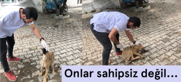 Onlar sahipsiz değil...