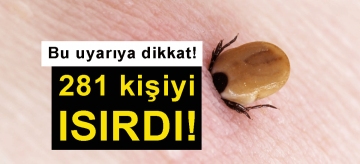 281 kene tutulması yaşandı