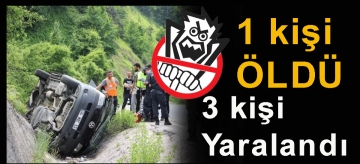 Minibüs sis lambası direğine çarptı