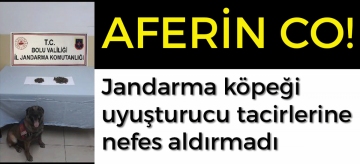 Jandarma köpeği uyuşturucuya geçit vermedi 