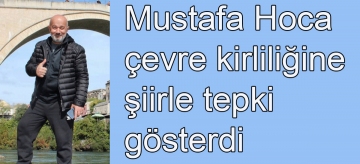 Şiirli çevre tepkisi