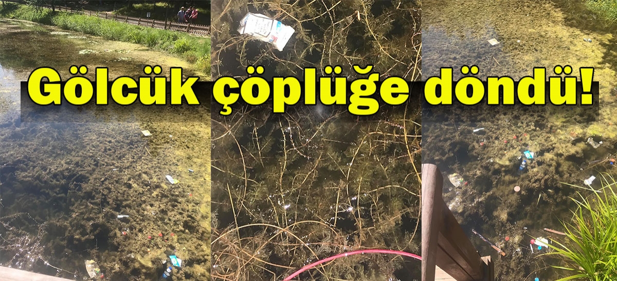Çöplüğe döndü