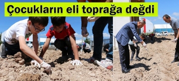 Bir Tohumla Yeni Bir Hikaye Başlıyor