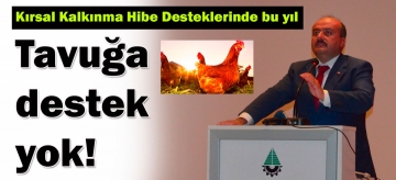 Tavuğa destek yok!