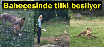Bahçesinde tilki besliyor