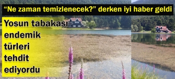 Gölcük temizlenecek!