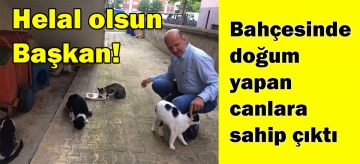 Bahçesinde doğum yapan canlara sahip çıktı